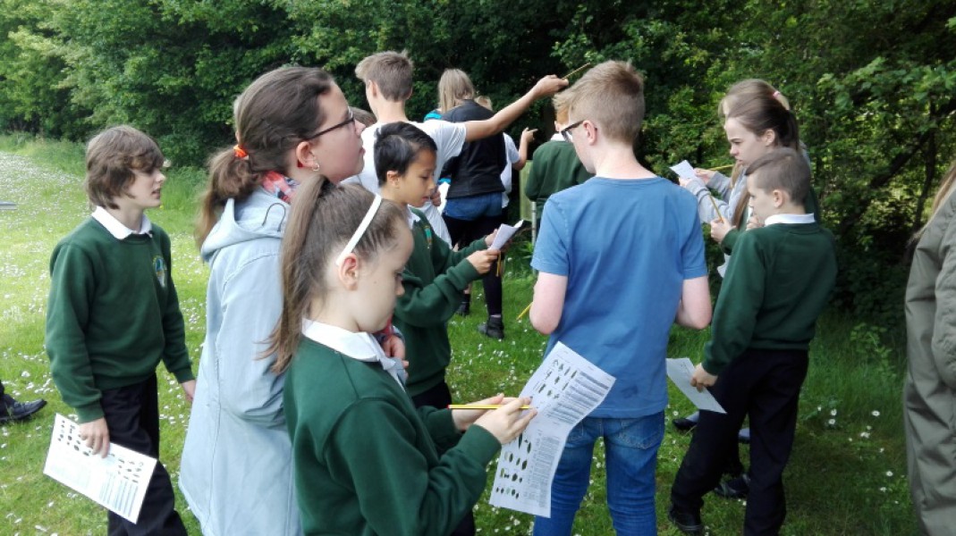 IMG_20170522_114430_800_450