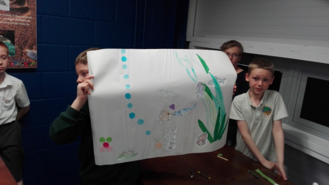 IMG_20170524_144705_800_450