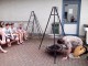 Grillen11